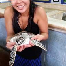 holding a turtle!
