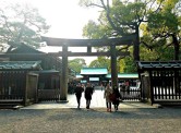 A torii gate leading into Meiji Shrine.