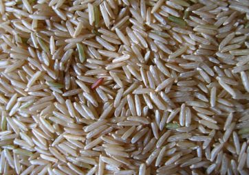 Rice. Wikimedia photo by Ranveig